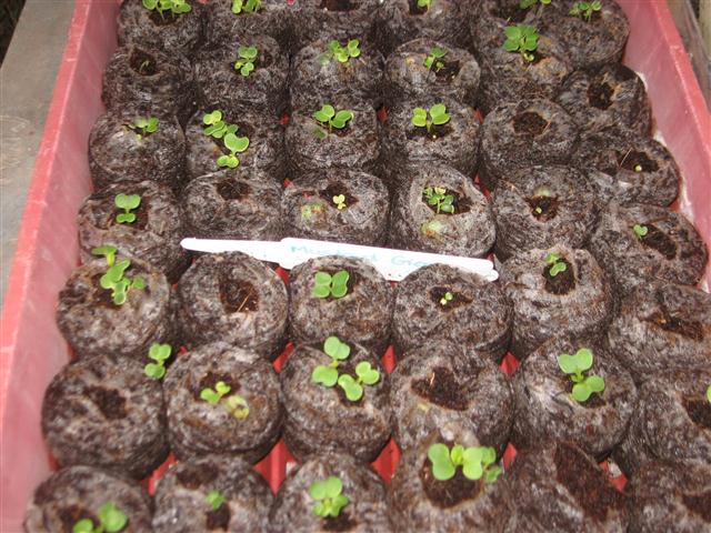 TODAY IS THE DAY 005 (Small).JPG