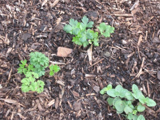 TODAY IS THE DAY 004 (Small).JPG