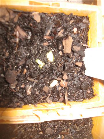 TODAY IS THE DAY 007 (Small).JPG