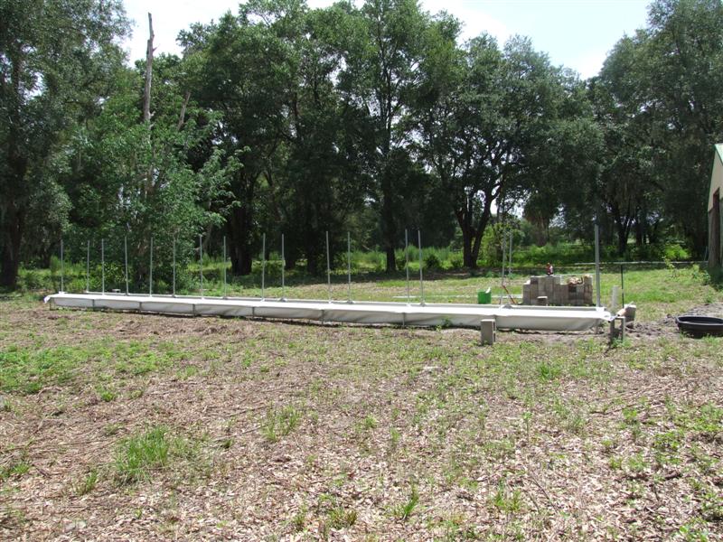 Looks small from this angle (Medium).JPG