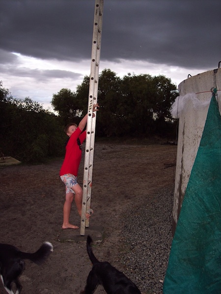 Fred with ladder.jpg