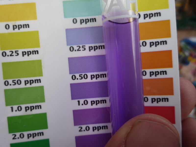 057 nitrite one twentieth dilution.jpg