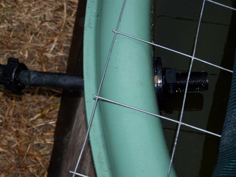 bulkhead fitting.jpg