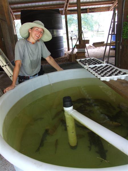 Moved fish (Medium).JPG