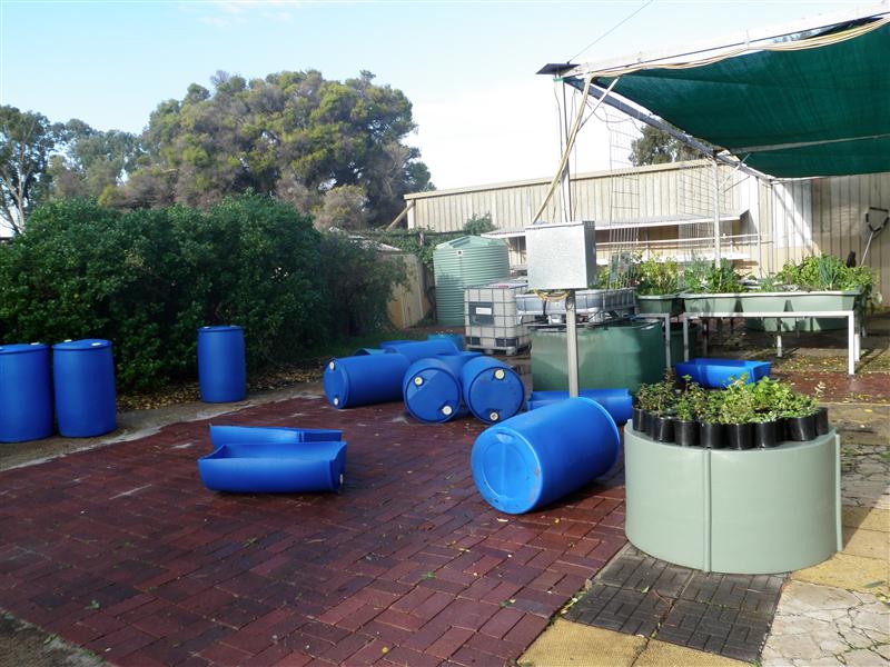 P6110266 (Custom).JPG