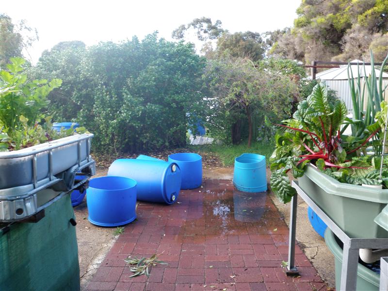 P6110267 (Custom).JPG