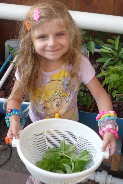 058 first harvest.jpg