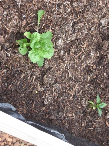 TODAY IS THE DAY 003 (Small).JPG