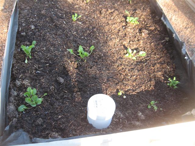 TODAY IS THE DAY 009 (Small).JPG