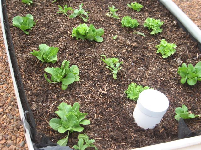 TODAY IS THE DAY 002 (Small).JPG