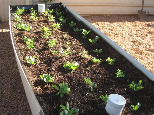 TODAY IS THE DAY 007 (Small).JPG