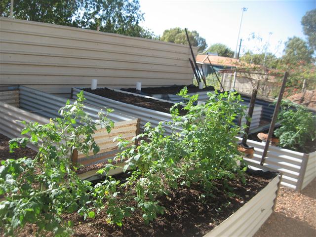 TODAY IS THE DAY 001 (Small).JPG