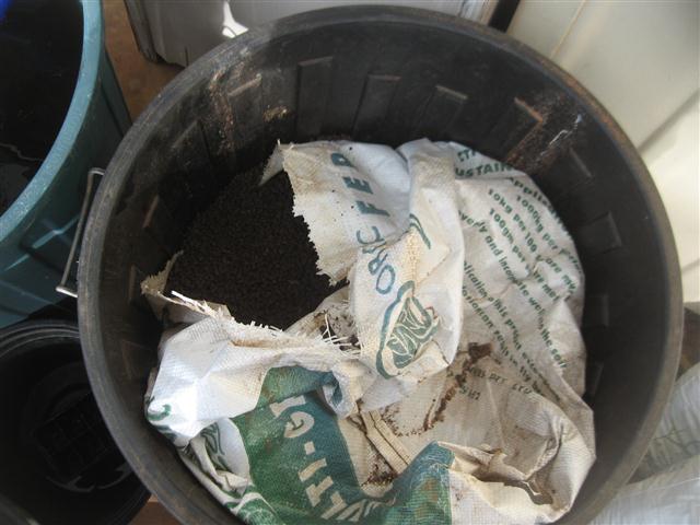 TODAY IS THE DAY 006 (Small).JPG