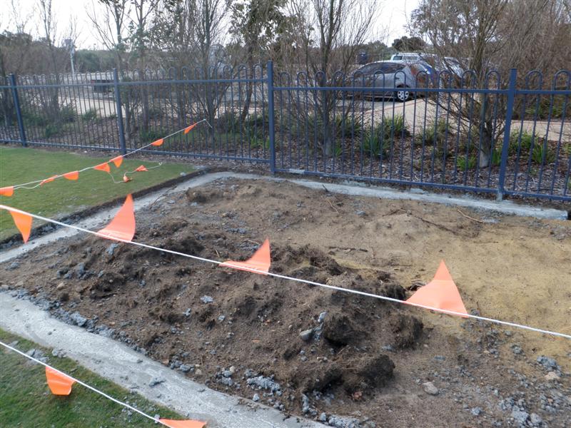 P6110270 (Medium).JPG