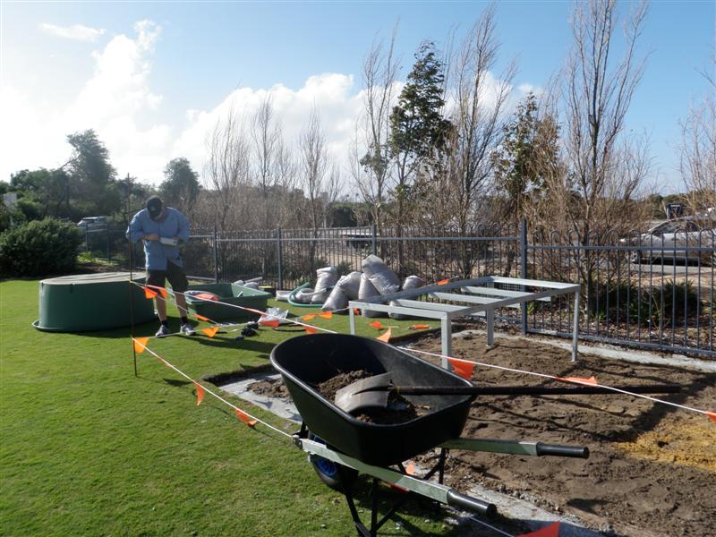 P6110274 (Medium).JPG