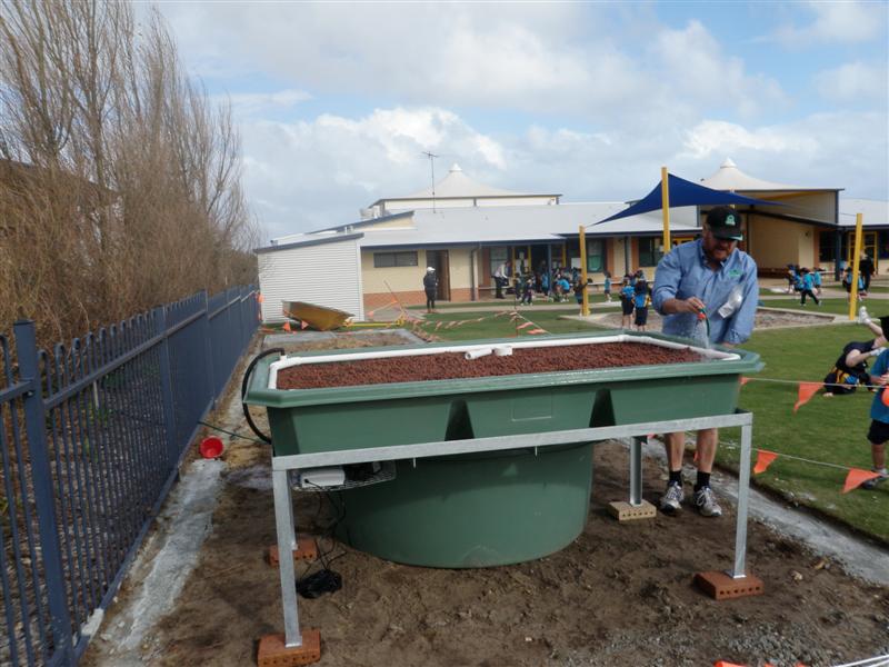 P6110278 (Medium).JPG