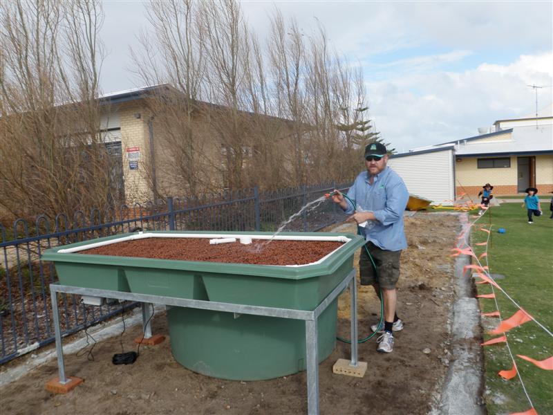 P6110279 (Medium).JPG