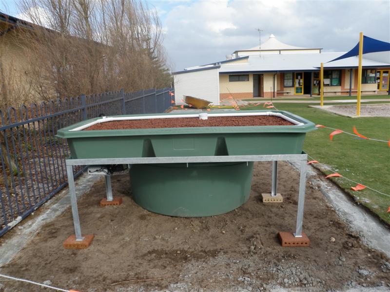 P6110285 (Medium).JPG