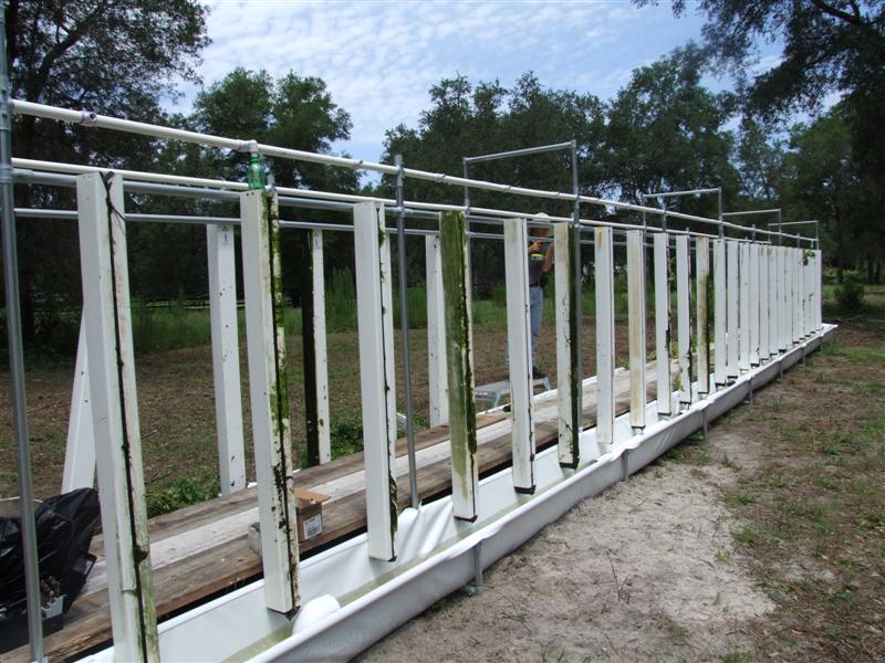 Over half way done (Medium).JPG