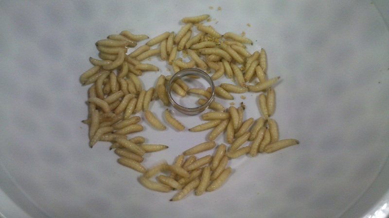 2012-06-20_17-34-00_241 e.jpg