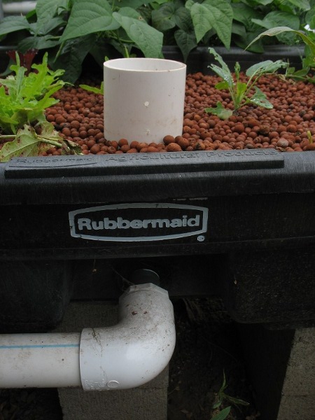 IMG_1923 scaled- Copy.JPG