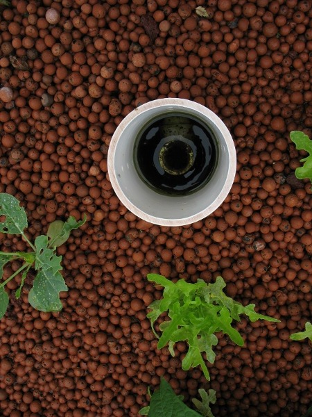 IMG_1924 scaled - Copy.JPG