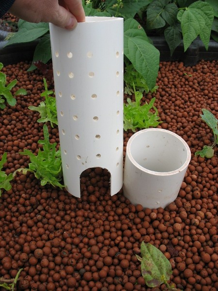 IMG_1925 scaled- Copy.JPG