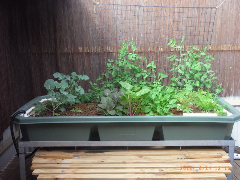 RIMG0024 (800x600).jpg