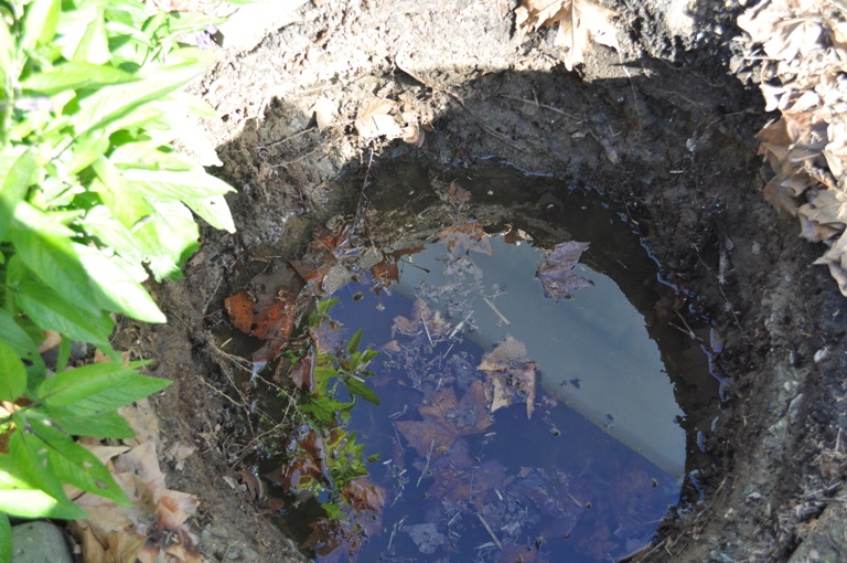 water in the hole.jpg