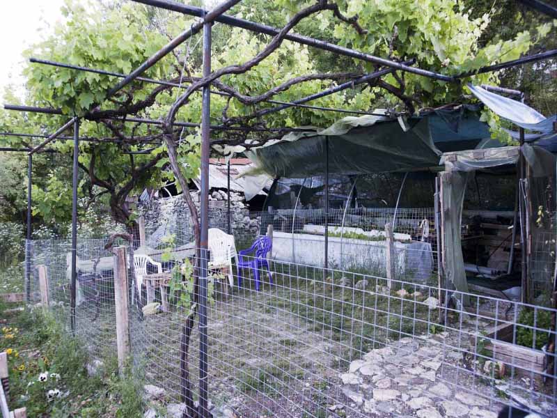 Θερμοκηπ 1.jpg