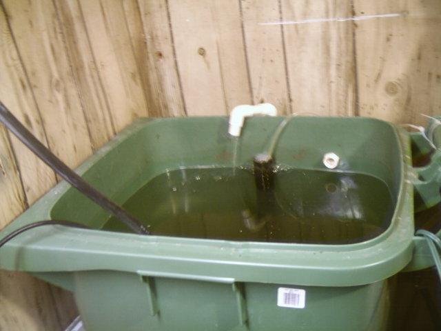 IMAG0021 (Small).JPG