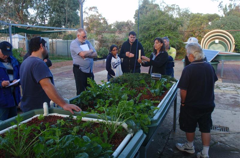 P6300310 1 (Custom).jpg