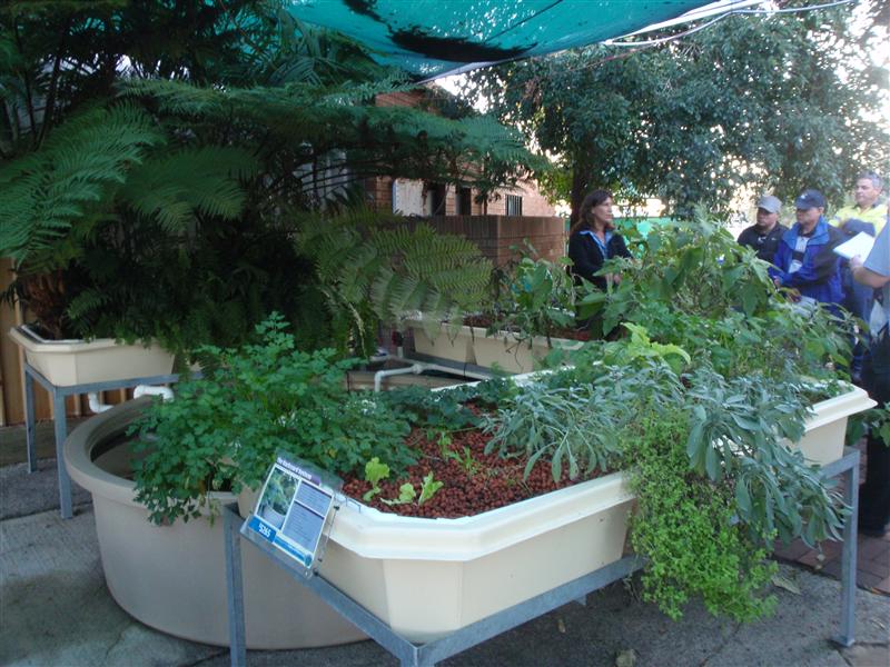 P6300330 (Custom) (2).JPG