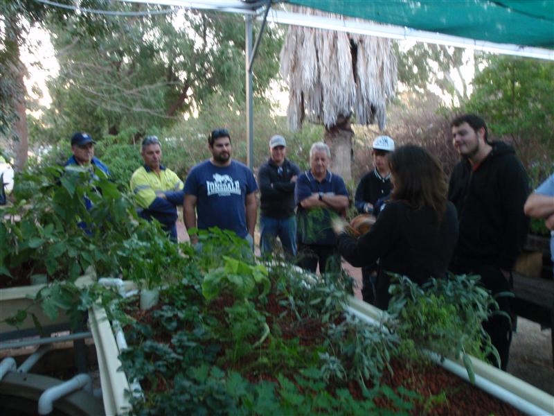 P6300338 (Custom).JPG