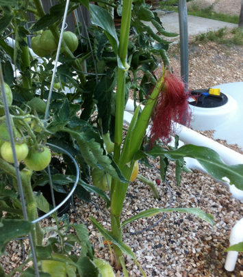 Screen Shot 2012-07-02 at 10.43.26 PM.png