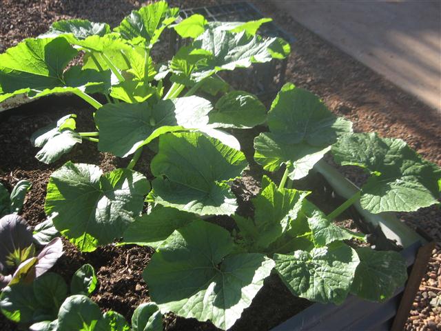 TODAY IS THE DAY 005 (Small).JPG