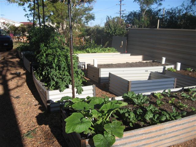 TODAY IS THE DAY 009 (Small).JPG