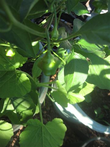 TODAY IS THE DAY 010 (Small).JPG