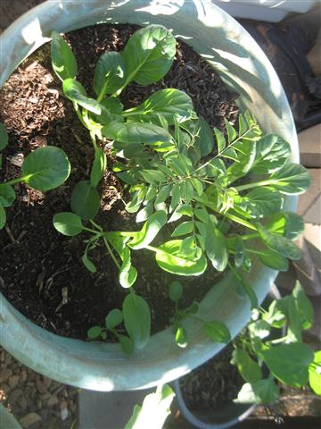 TODAY IS THE DAY 011 (Small).JPG