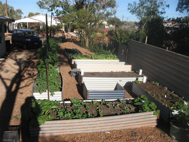 TODAY IS THE DAY 013 (Small).JPG