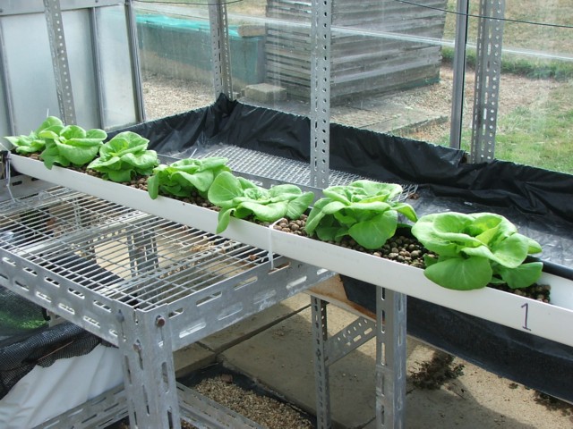 full hydroponic nutrients.jpg