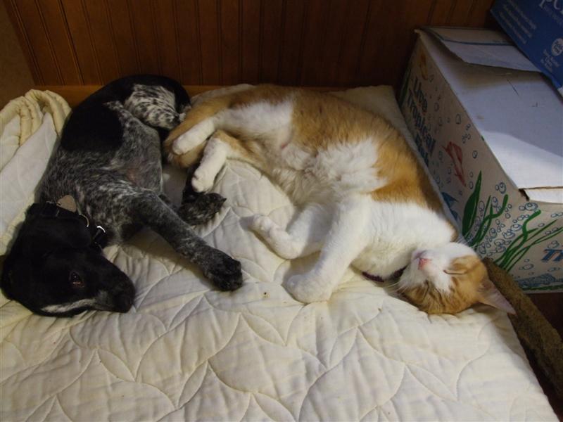 Baily n Dribbles (Medium).JPG