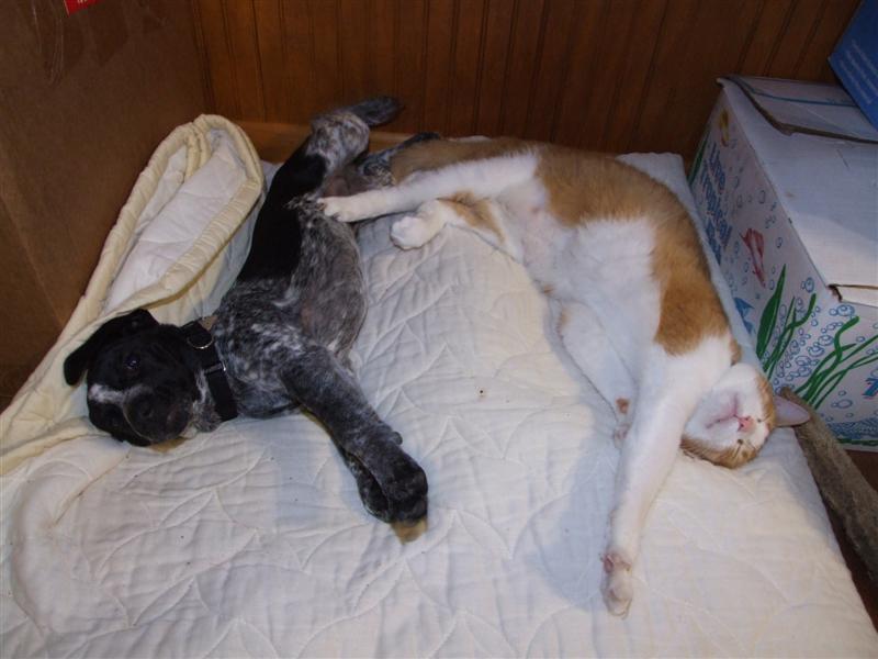 Baily n dribbles 2 (Medium).JPG