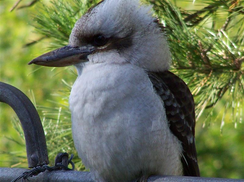 100_7175 (Custom).JPG