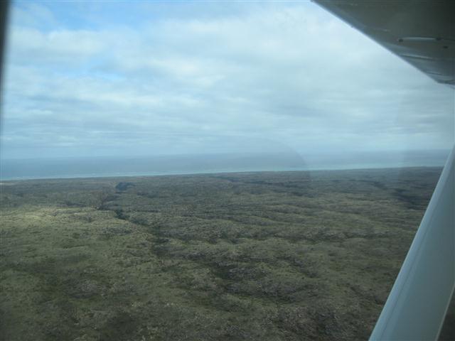 TODAY IS THE DAY 006 (Small).JPG