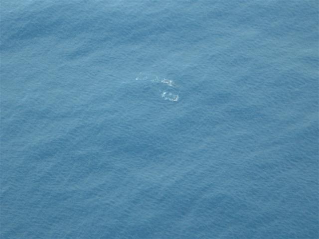 TODAY IS THE DAY 013 (Small).JPG