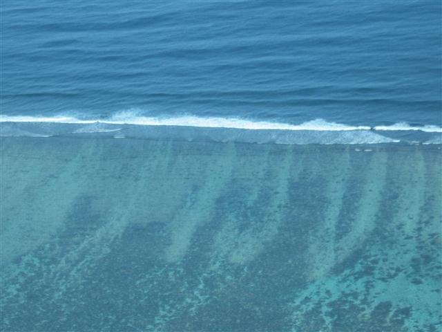 TODAY IS THE DAY 019 (Small).JPG