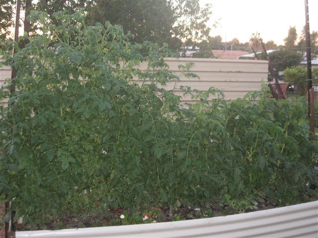 TODAY IS THE DAY 045 (Small).JPG