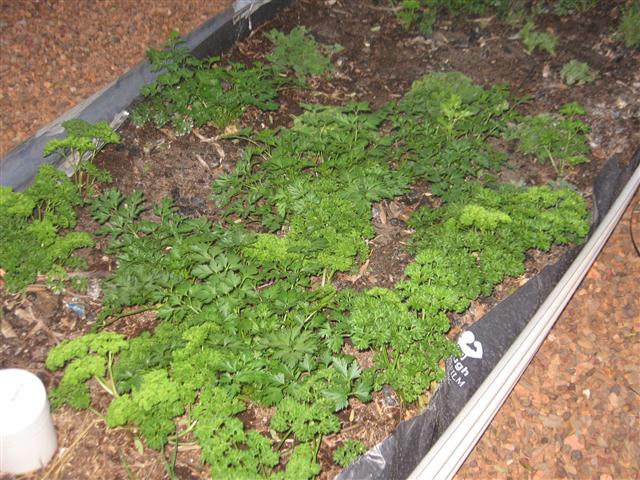 TODAY IS THE DAY 048 (Small).JPG