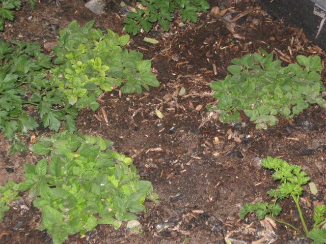 TODAY IS THE DAY 049 (Small).JPG